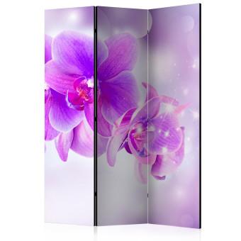 Biombo original Orquídeas moradas (3 partes) - composición sencilla en flores lilas