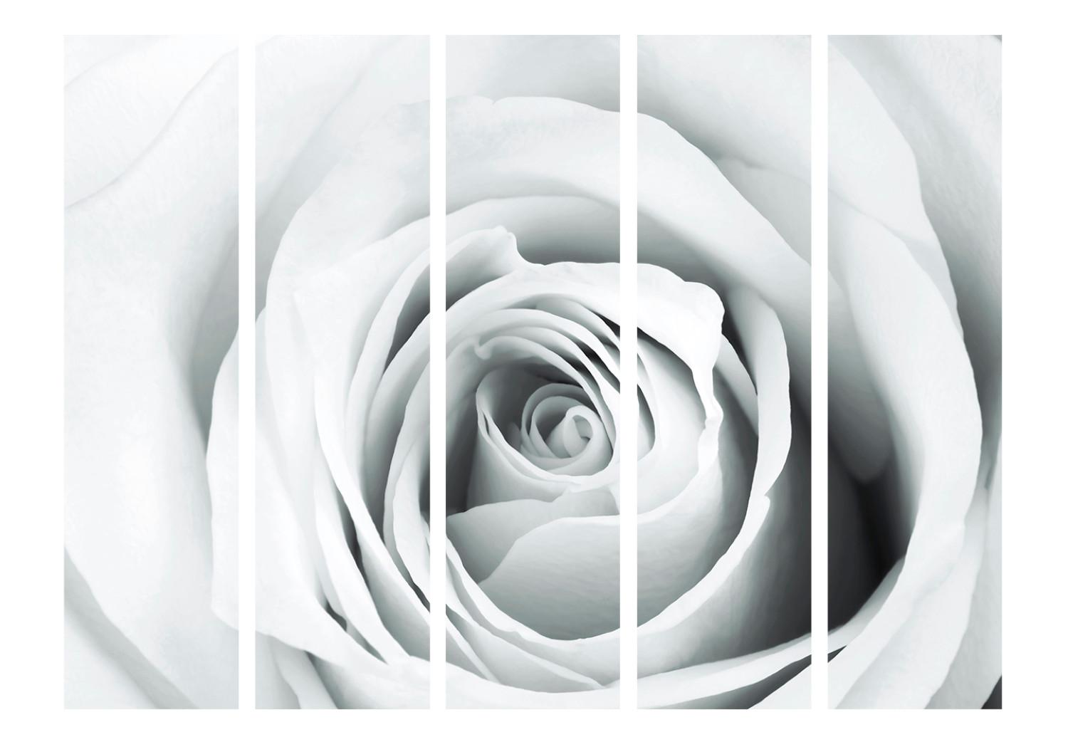 Biombo decorativo Enigma de las Rosas II (5 partes) - composición con rosa en blanco