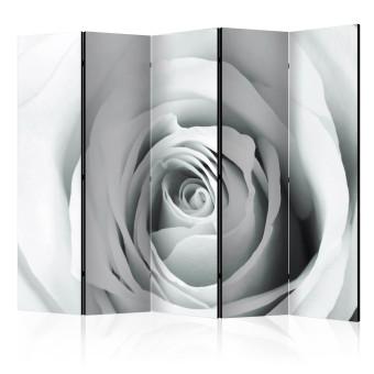 Biombo decorativo Enigma de las Rosas II (5 partes) - composición con rosa en blanco