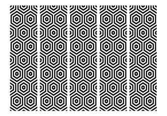 Biombo Hipnótico en blanco y negro II (5 partes) - patrones geométricos