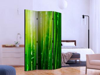 Biombo barato Sun and bamboo [Room Dividers]