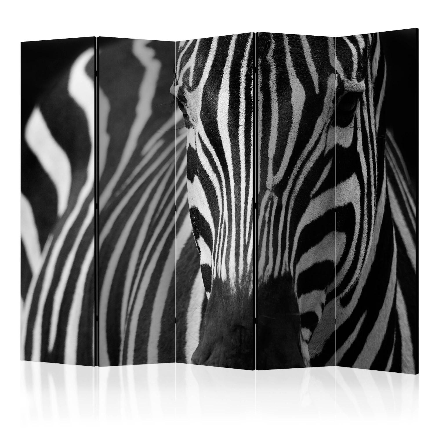 Biombo barato White with black stripes II [Room Dividers]