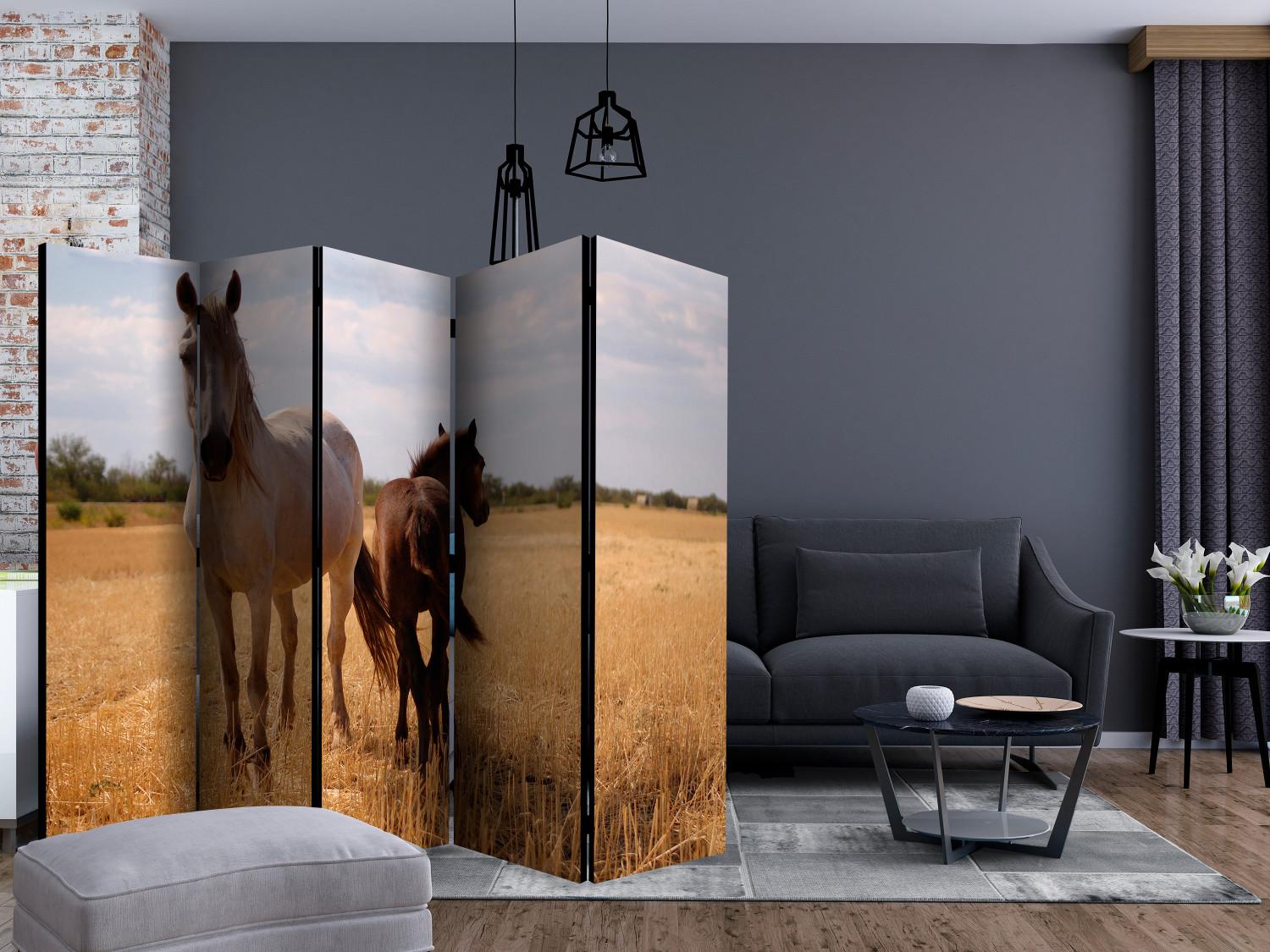 Biombo original Horse and foal II [Room Dividers]