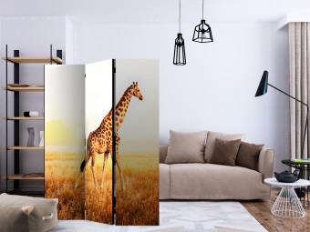 Biombo decorativo Giraffe - walk [Room Dividers]