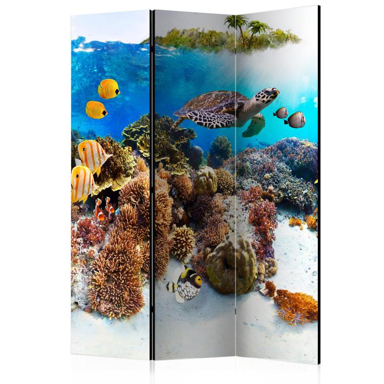 Arrecife de coral (3 partes) - peces de colores y plantas marinas