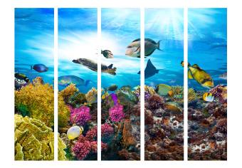 Biombo barato Colorful Coral Reef II (5 partes): animales marinos