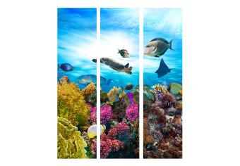 Biombo original Arrecife de coral colorido (3 partes): vida marina