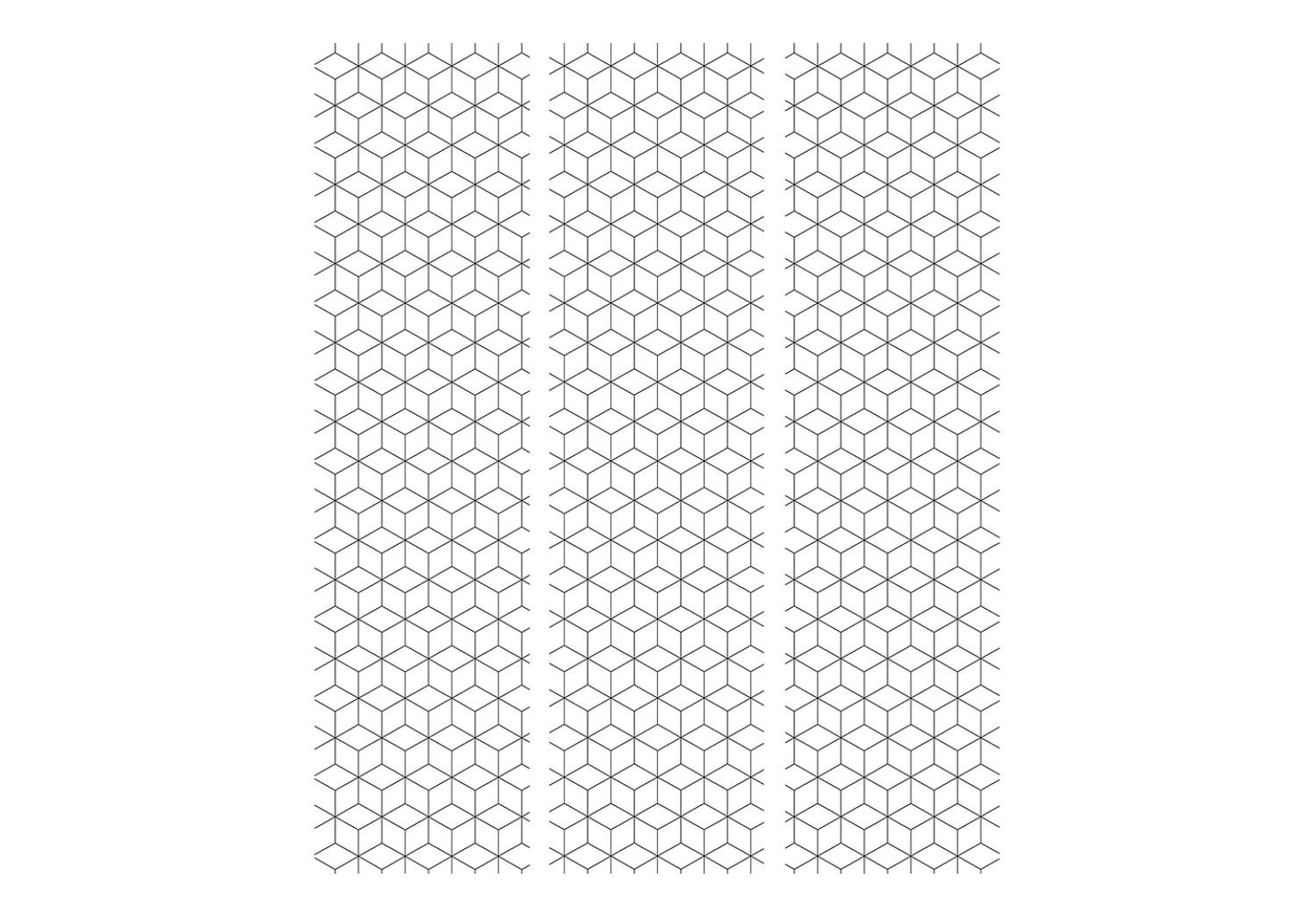 Biombo decorativo Cubes - texture [Room Dividers]