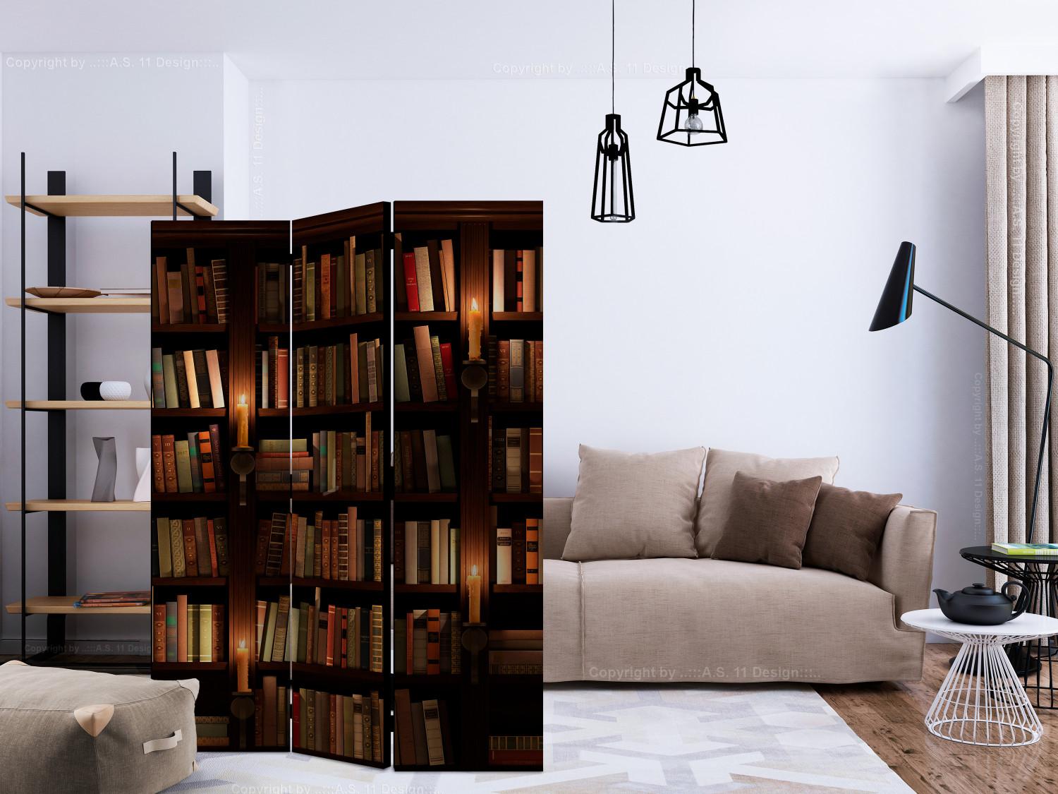 Biombo decorativo Bookshelves [Room Dividers]