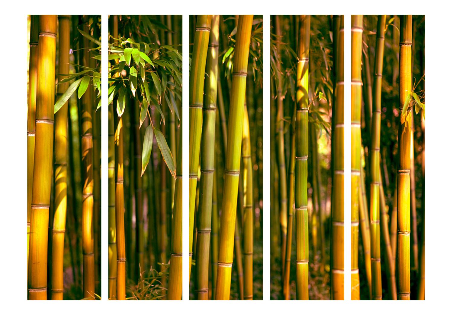 Biombo Forest of the Setting Sun II [Room Dividers]