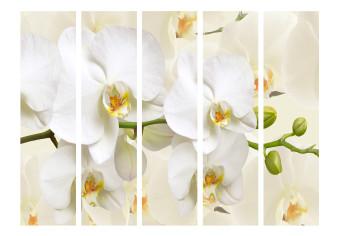 Biombo Rama de orquídea II - flores blancas sobre un fondo claro