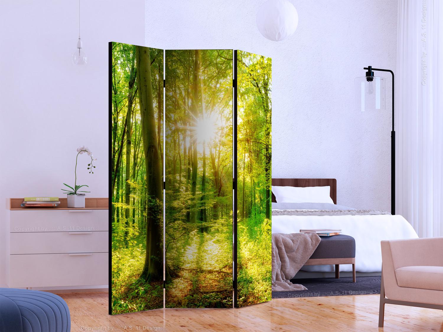 Biombo Forest Rays [Room Dividers]