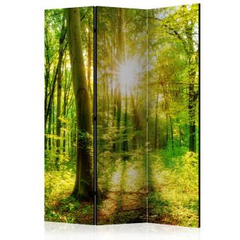 Biombo Forest Rays [Room Dividers]