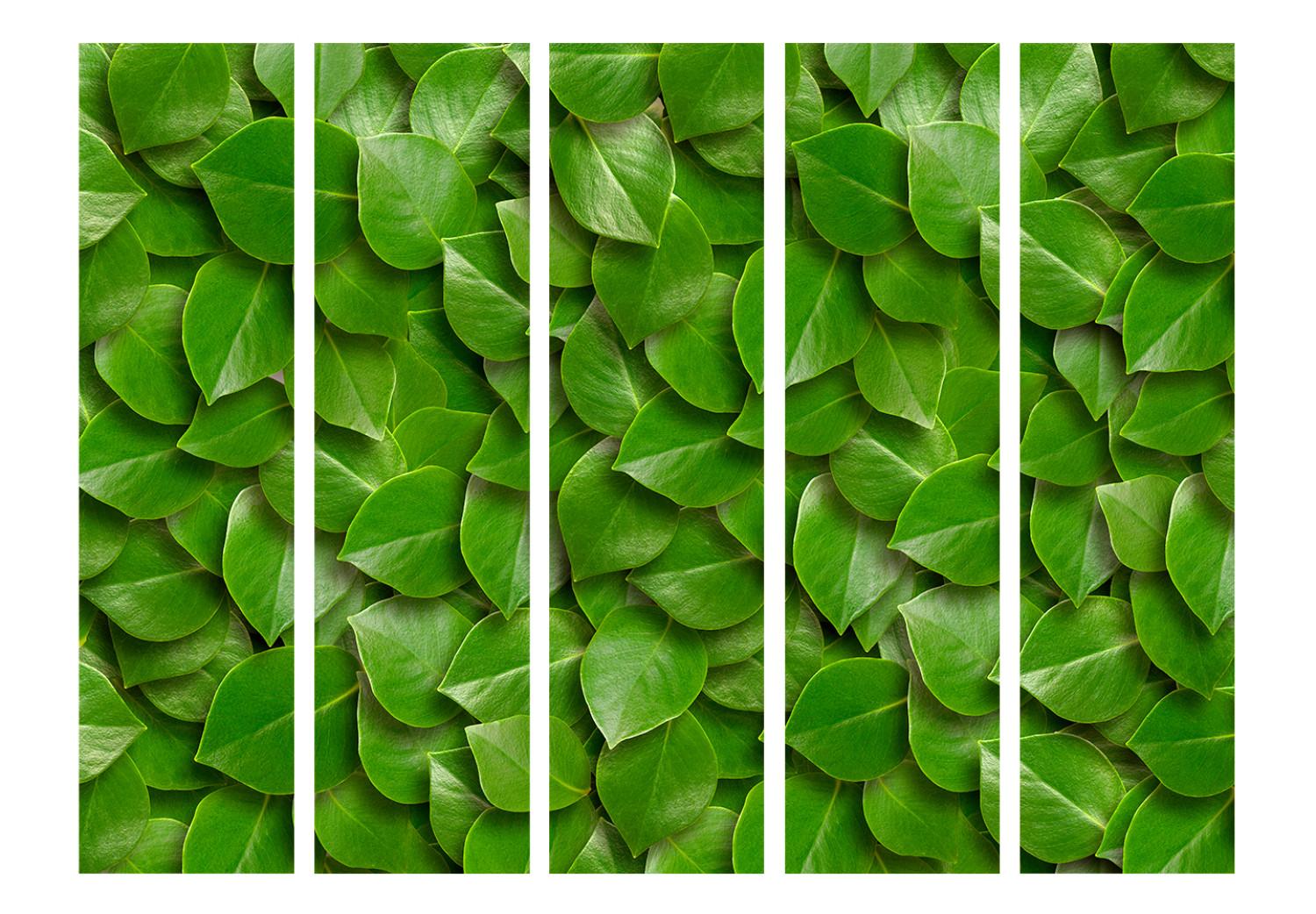 Biombo Jardín Secreto II - composición de texturas vegetales con hojas verdes