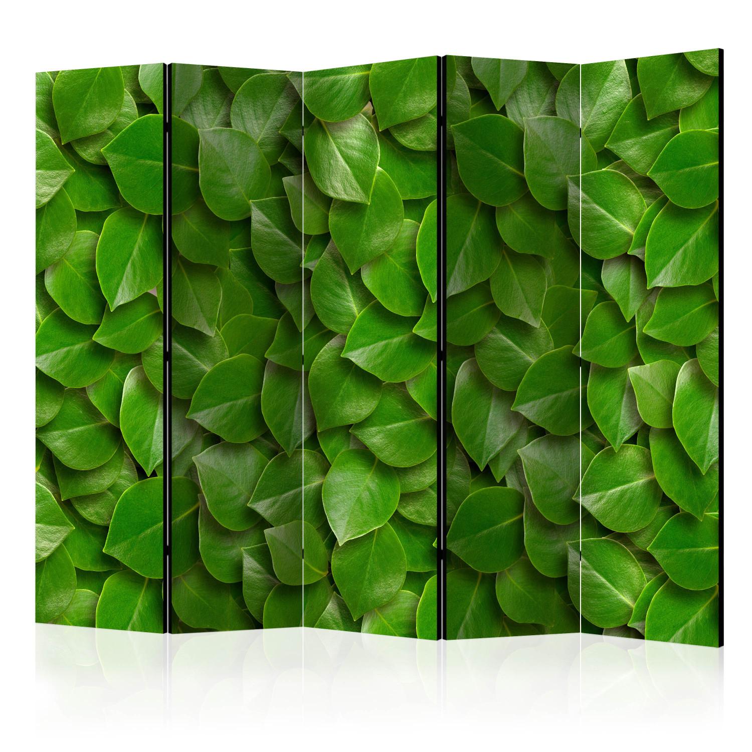 Biombo Jardín Secreto II - composición de texturas vegetales con hojas verdes