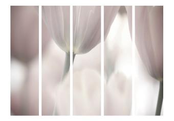 Biombo decorativo Arte Floral de Tulipanes - blanco y negro II - tulipanes descoloridos