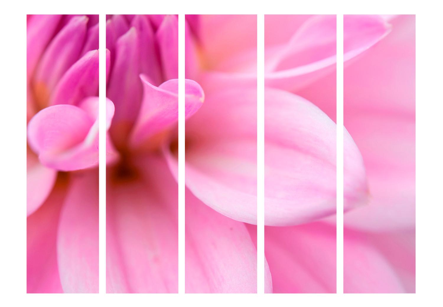 Biombo barato Pétalos Florales - Dalias II - suaves y románticas flores rosadas