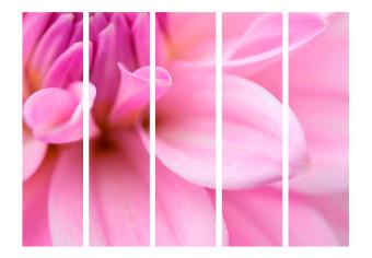 Biombo barato Pétalos Florales - Dalias II - suaves y románticas flores rosadas