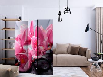 Biombo decorativo Orchid flowers with zen stones [Room Dividers]