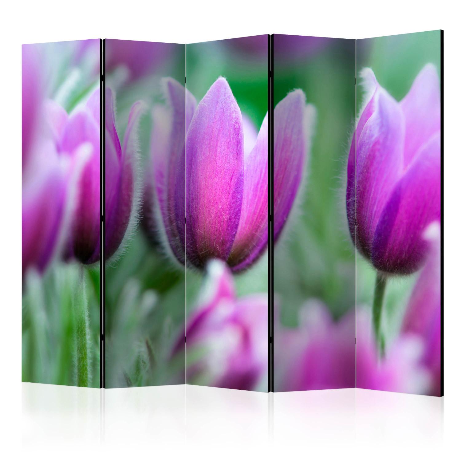 Biombo decorativo Tulipanes Violetas Primaverales - flores coloridas en verde