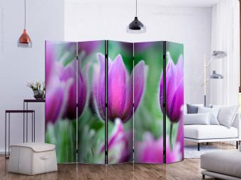 Biombo decorativo Tulipanes Violetas Primaverales - flores coloridas en verde