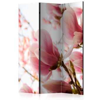 Biombo barato Magnolia Rosa - flores rosadas en claro
