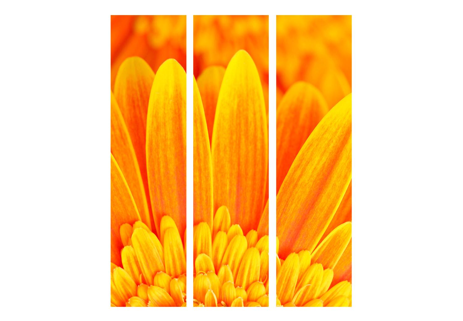 Biombo decorativo Gerbera Amarilla - Composición de brillantes flores amarillas