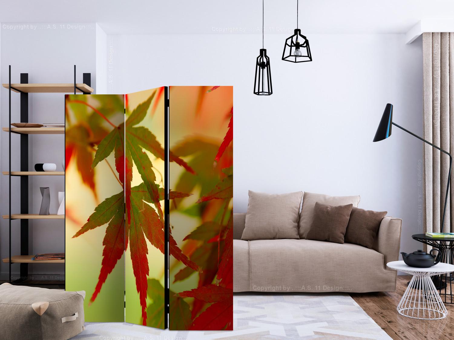 Biombo Colourful leaves [Room Dividers]
