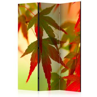 Biombo Colourful leaves [Room Dividers]