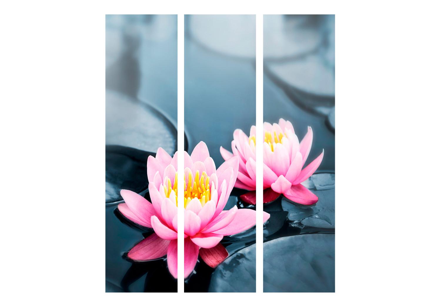 Biombo decorativo Flores de Loto - Flor rosa de loto sobre el agua con hojas flotantes