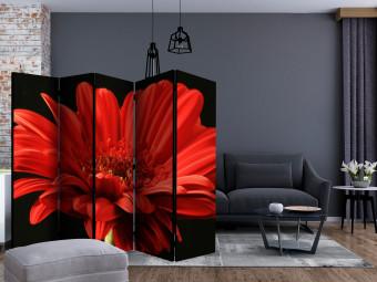 Biombo original Red gerbera flower II [Room Dividers]