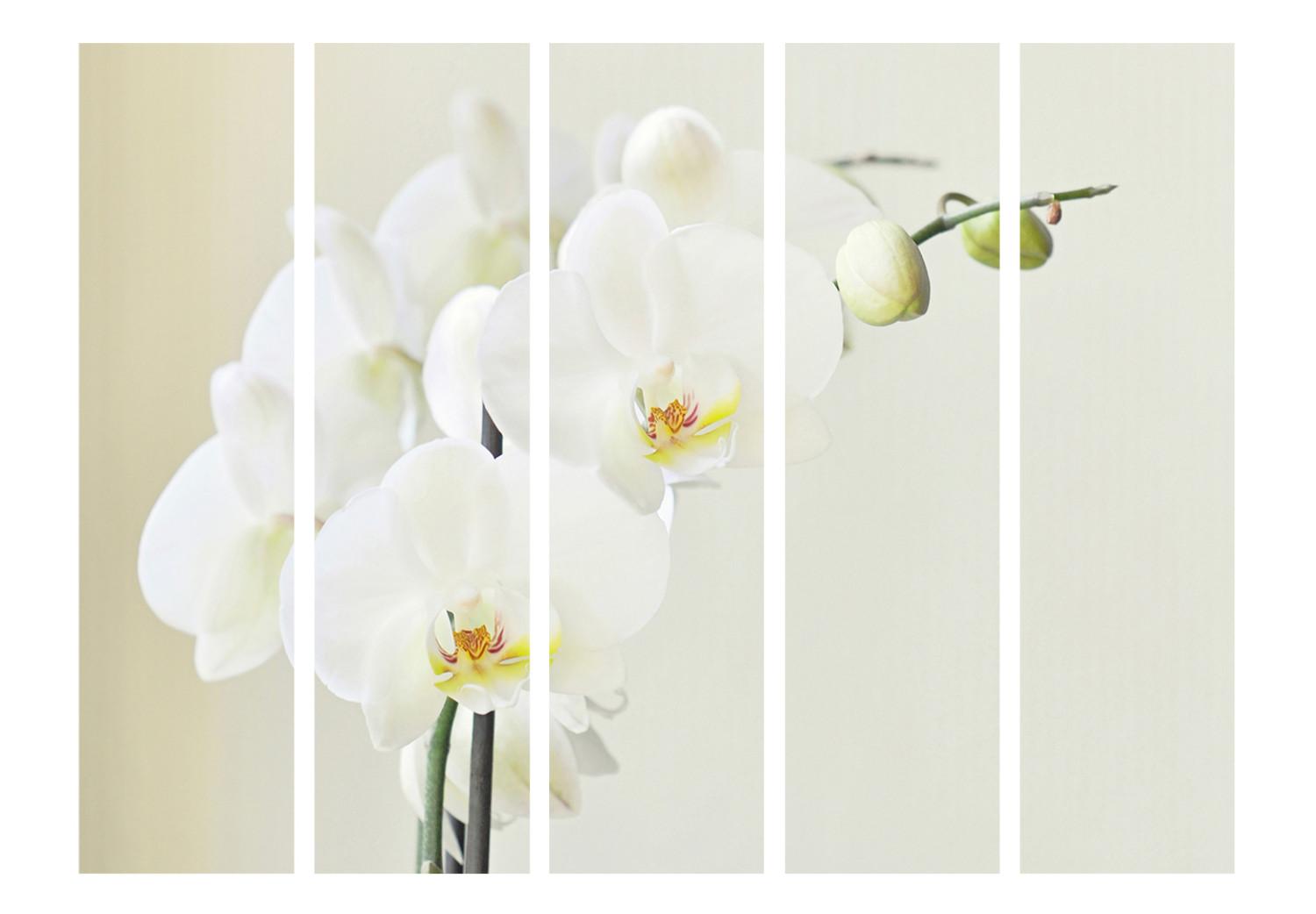 Biombo barato White orchid II [Room Dividers]