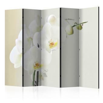 Biombo barato White orchid II [Room Dividers]