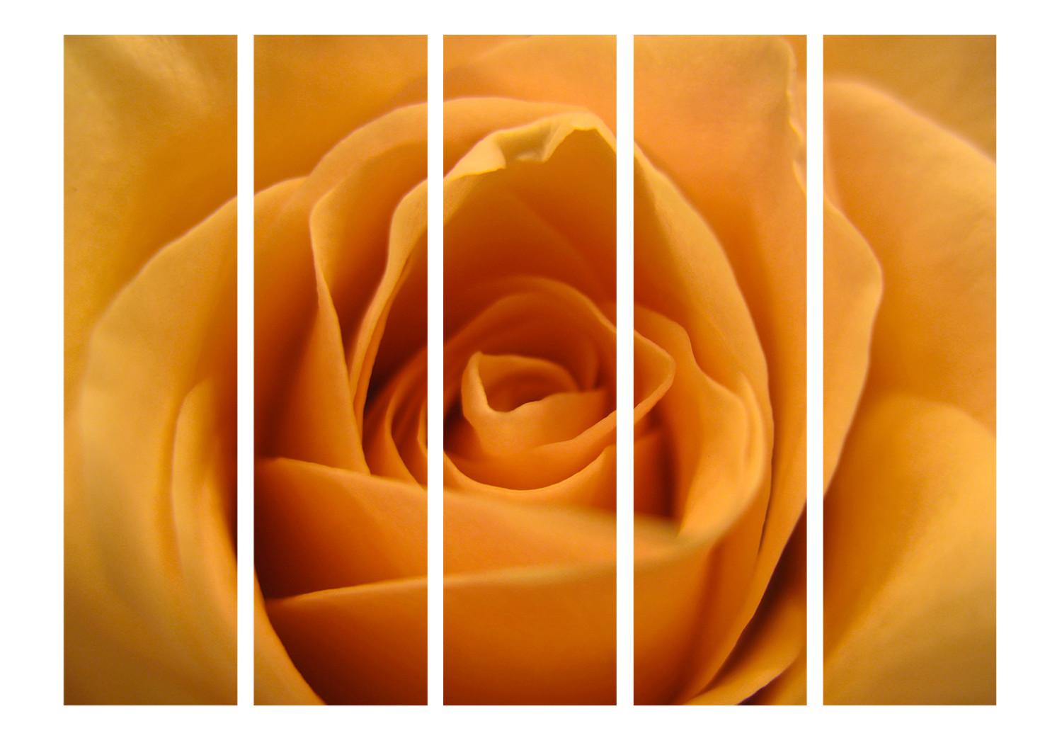 Biombo original Rosa Amarilla - Símbolo de la Amistad II - flor amarilla