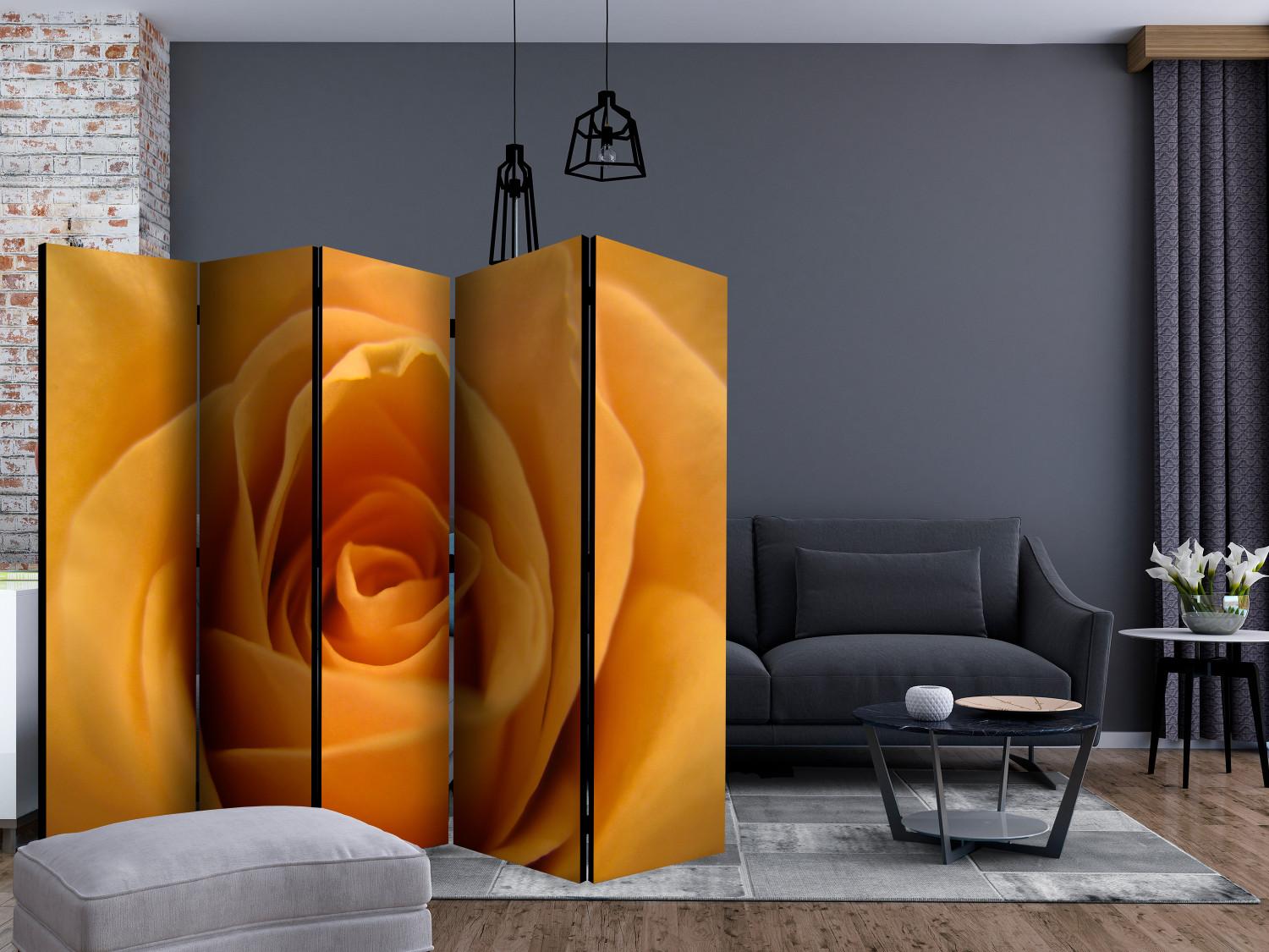 Biombo original Yellow rose – a symbol of friendship II [Room Dividers]
