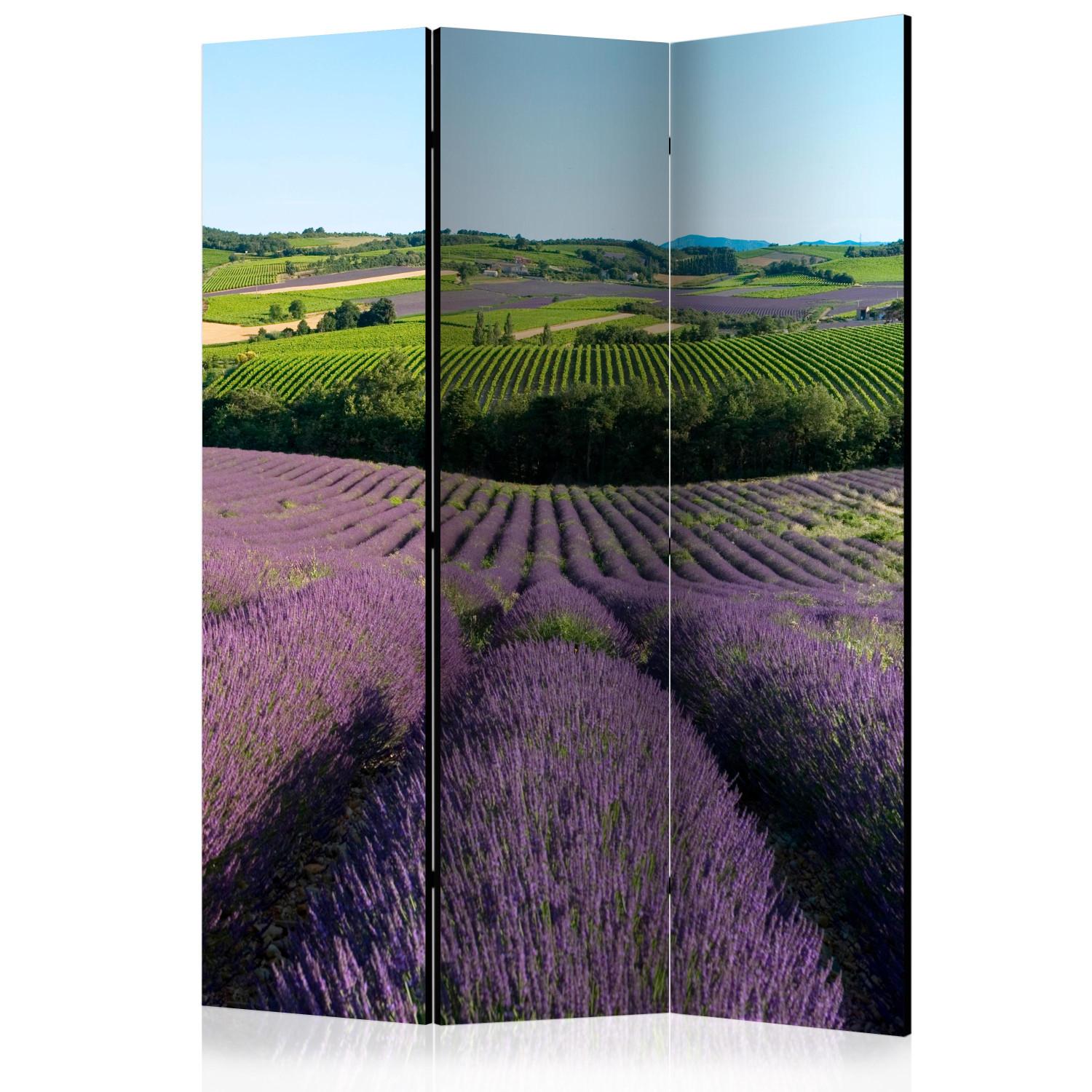 Biombo Lavender fields [Room Dividers]