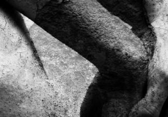 Cuadro moderno Cuerpo femenino - imitación de piedra en el fondo en blanco y negro