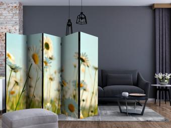 Biombo decorativo Daisies - spring meadow II [Room Dividers]