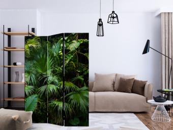 Biombo decorativo Sunny Jungle [Room Dividers]