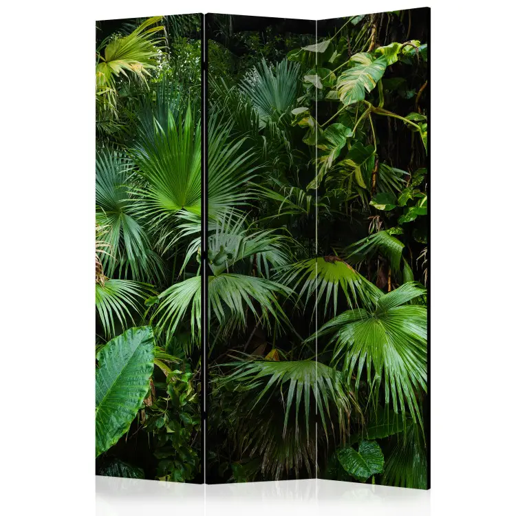 Jungla soleada - hojas verdes de plantas tropicales