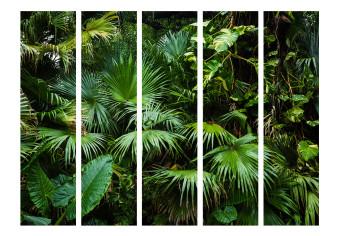 Biombo original Jungla soleada II (5 partes) - hojas de plantas salvajes