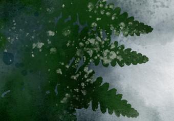 Cuadro Helecho en la niebla - hojas una fría nube de niebla, verde y gris