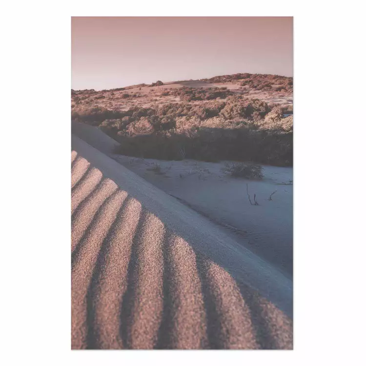 Pink Sands [Poster]