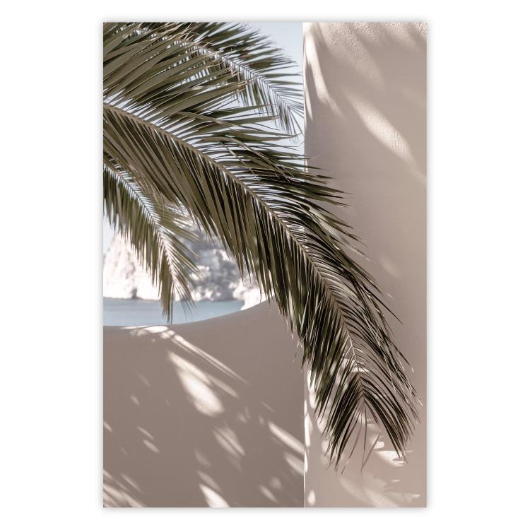 Terraza vistas - palmeras naturales pared clara