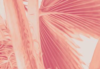 Cuadro Palmera rosa - foto de hojas de palmera en color rosa