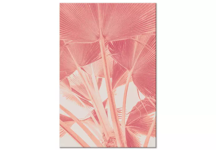 Palmera rosa - foto de hojas de palmera en color rosa