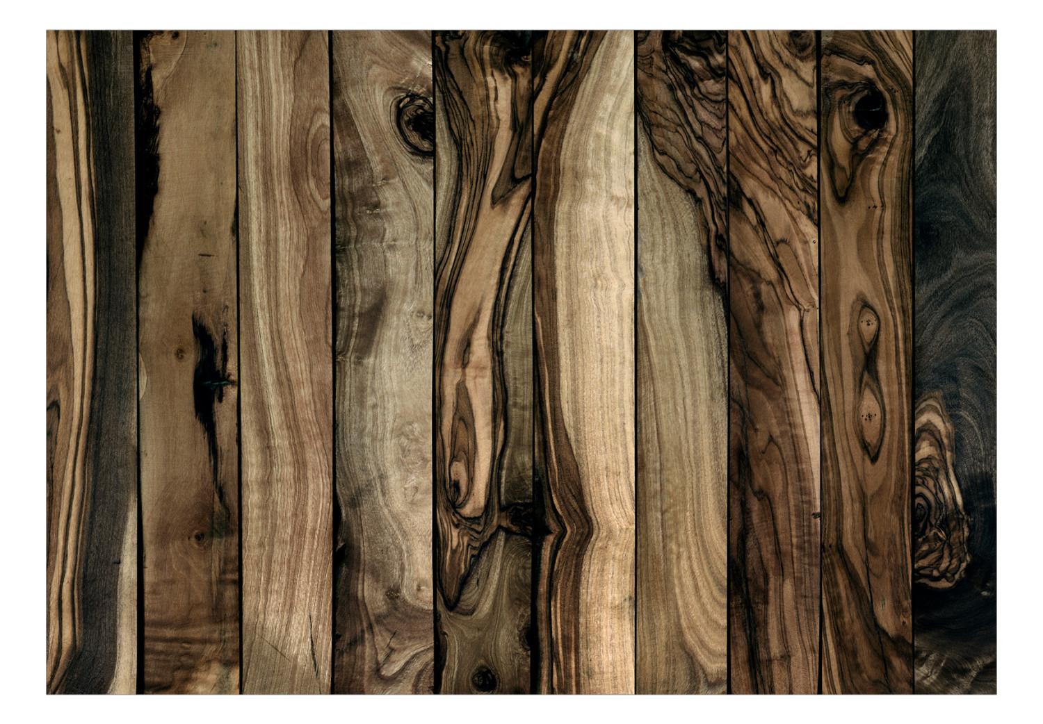 Fotomural decorativo Olivo - Fondo uniforme con diseño de tablas de madera oscura
