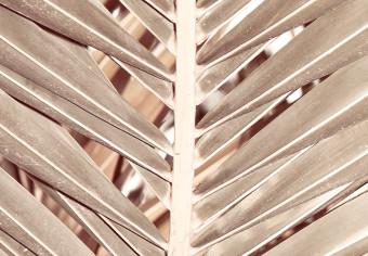 Cuadro decorativo Palmera seca - hojas de palmera secas y nítidas sobre fondo blanco