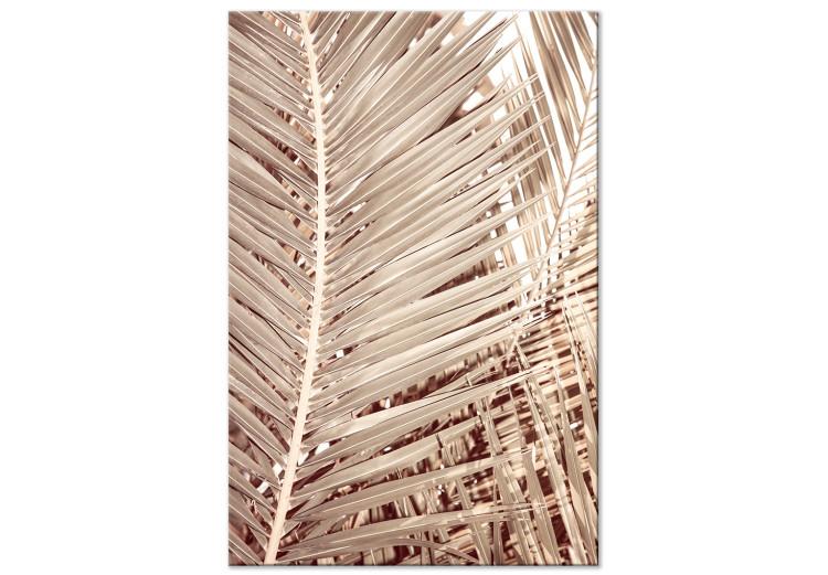 Palmera seca - hojas de palmera secas y nítidas sobre fondo blanco