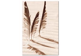 Cuadro moderno Tres plumas - imagen en blanco y negro de tres plumas de ave al sol